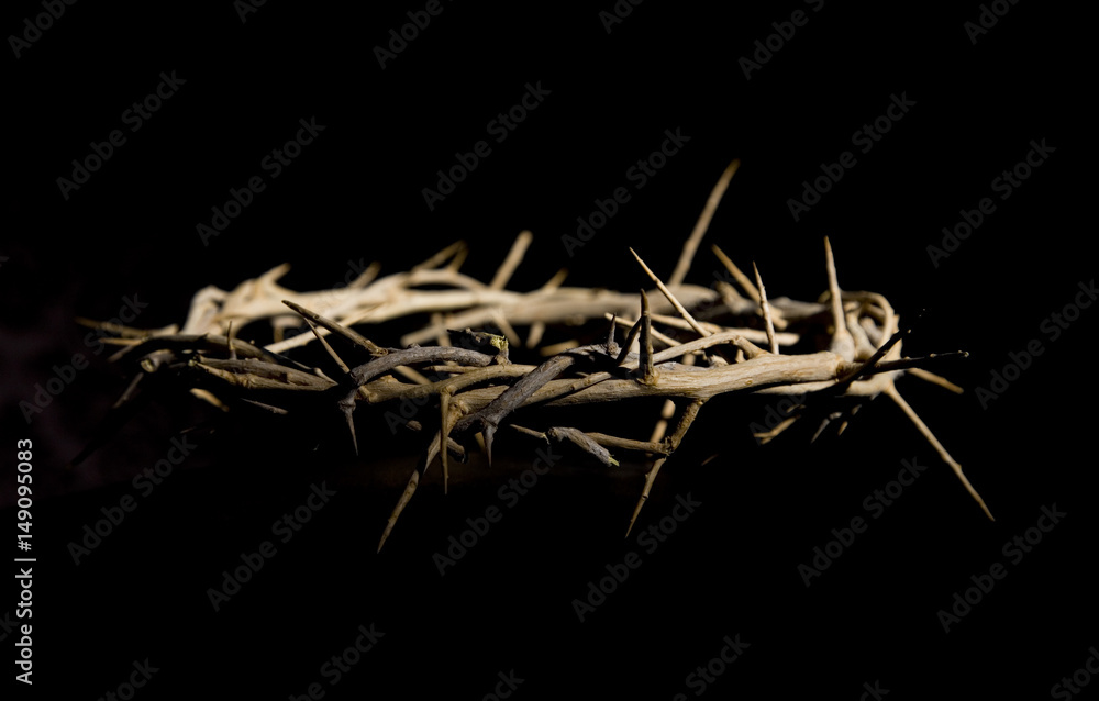 Fototapeta premium Crown of Thorns