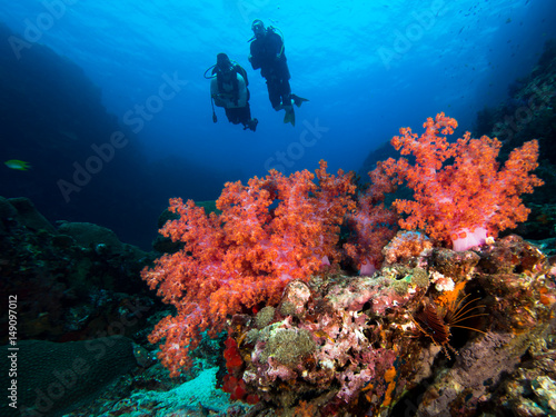 Fototapeta Naklejka Na Ścianę i Meble -  Coral and divers