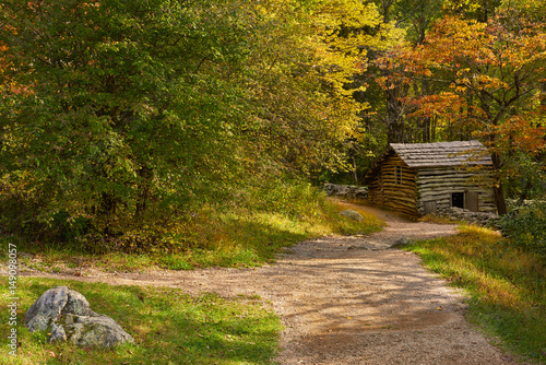 The path to the cabin