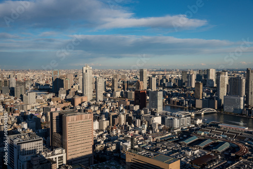 Tokyo cityscape with dense buildings at dusk 