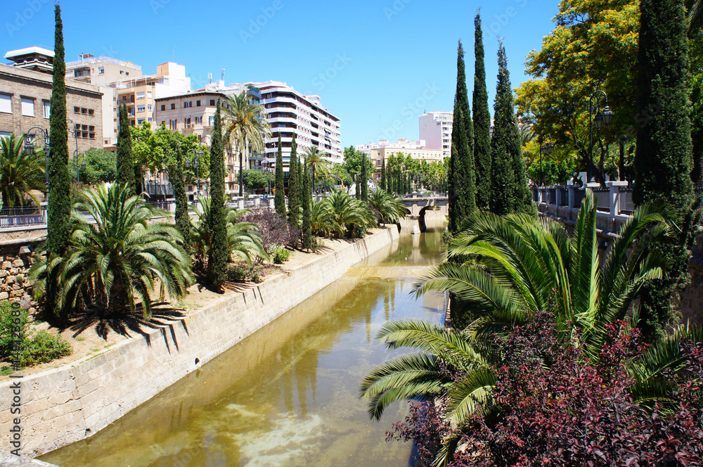 Cityscape of Passeig de Mallorca in Palma de Mallorca 