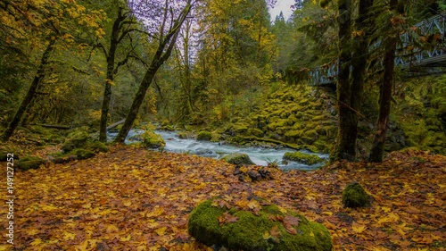 Blue river flowing among the bright yellow trees. The bright colors of autumn. Amazing fall. Autumn forest on the riverside. 4K, 3840*2160, high bit rate, UHD