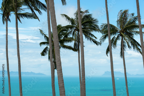 Landscape in Thailand, palms and the sea © iriska_ira_love