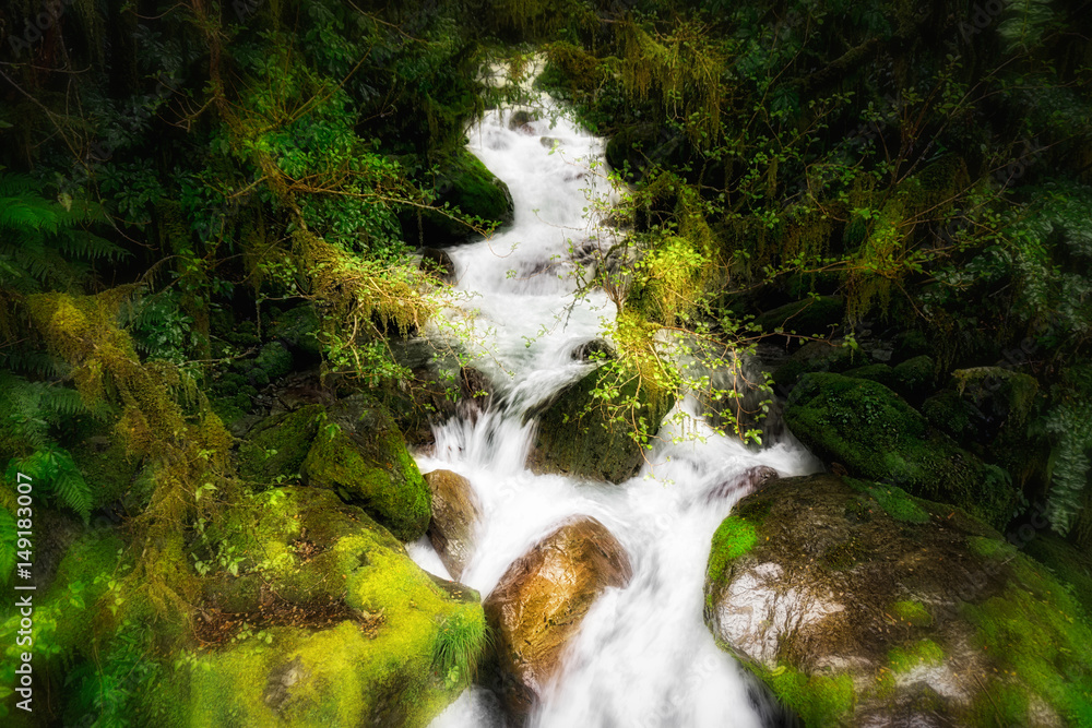 Waters Rushing Through Fiordland National Park Waters Rushing Through Fiordland National Park