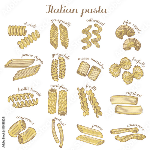 vector set of colored different pasta shapes