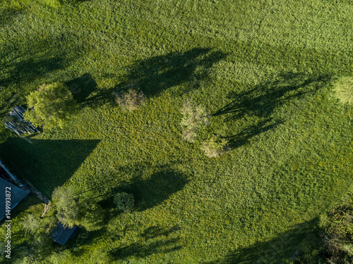 Aerial view of shadow of trees