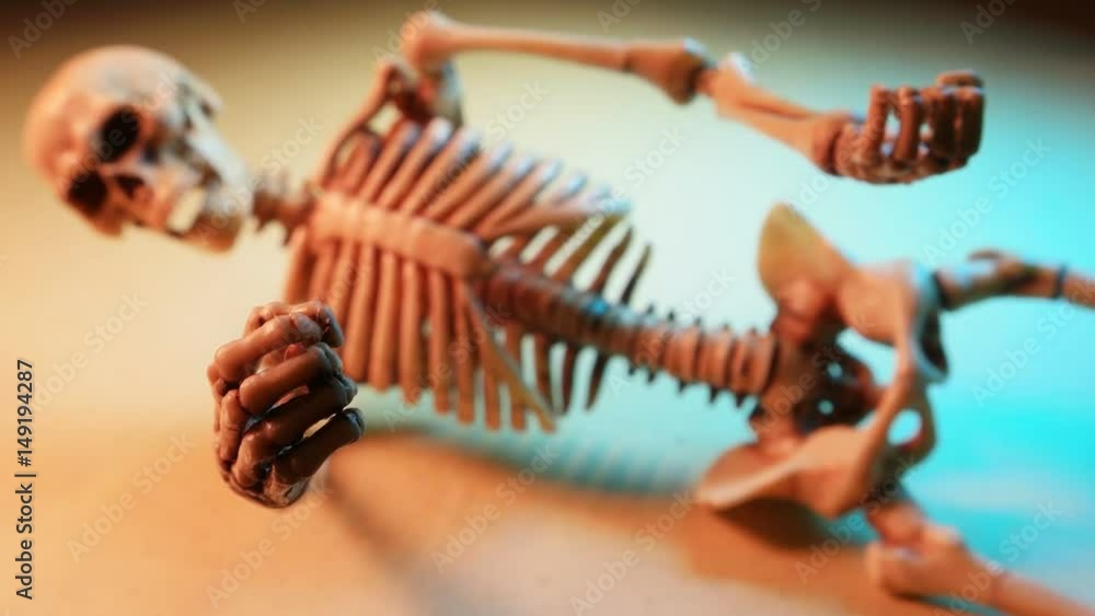 Miniature Human Skeleton Model Close Up
Miniature Human Skeleton Model Close Up