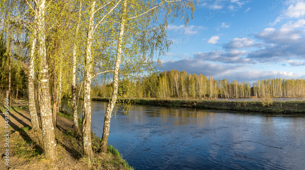 Fototapeta premium весенний пейзаж на Уральской реке с березой, Россия, май