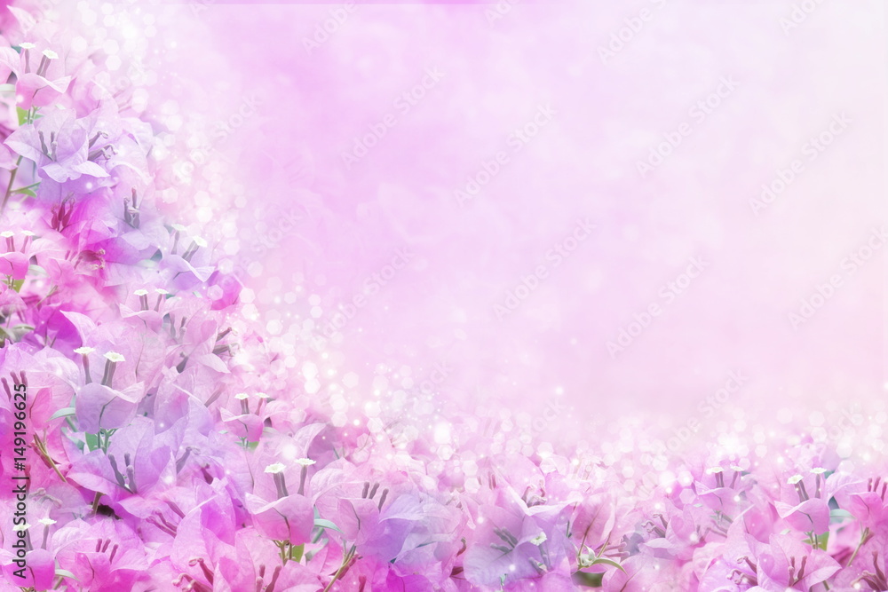 pink and purple spring flower Bougainvillea frame with copy space for text that can be used as wallpaper, wedding and event background 