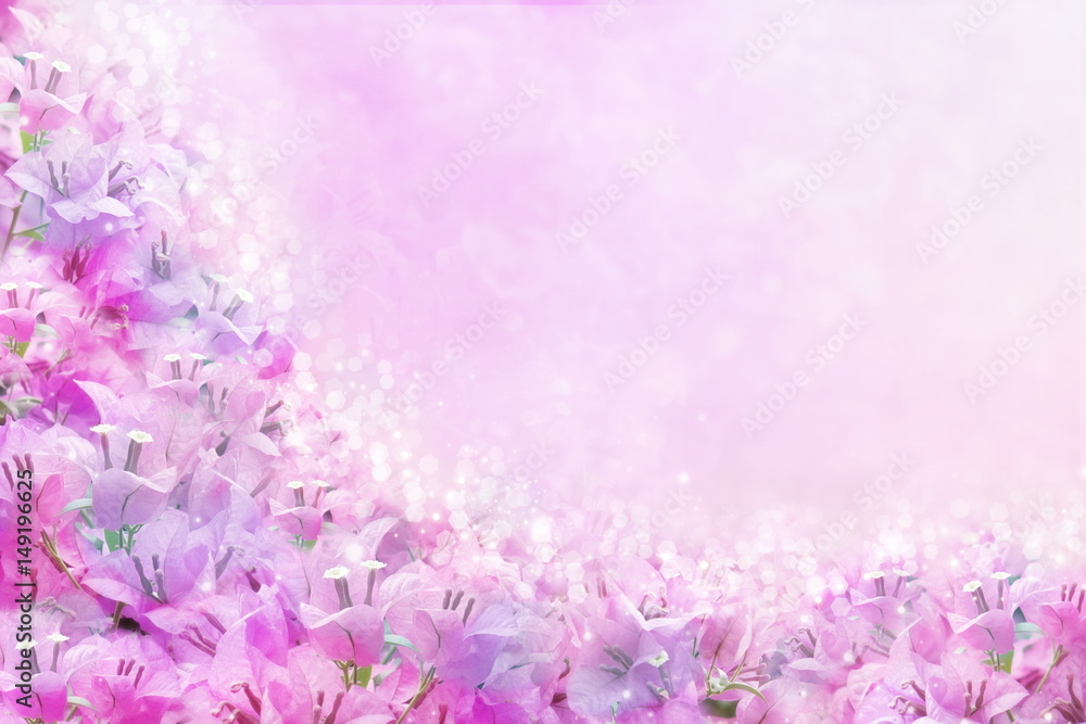 pink and purple spring flower Bougainvillea frame with copy space for text that can be used as wallpaper, wedding and event background pink and purple spring flower Bougainvillea frame with copy space for text that can be used as wallpaper, wedding and event background
