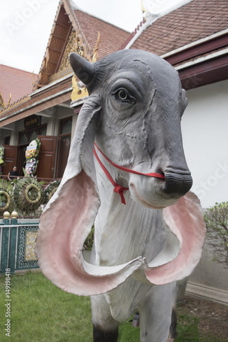 Statue of a cow in temple thailand. photo