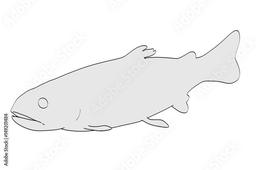 2d cartoon illustration of trout