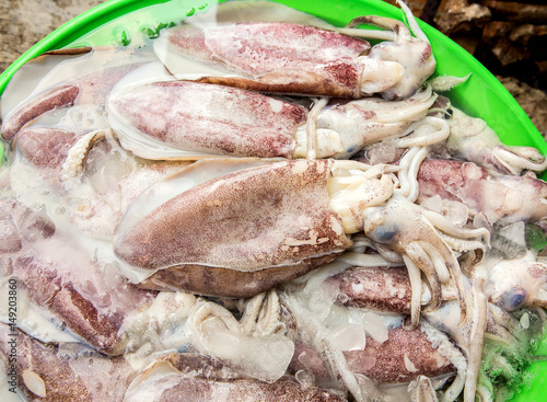 Fresh squid and seafood in market