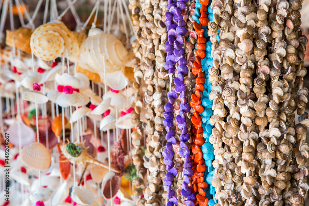 Curtain of sea shells for decoration