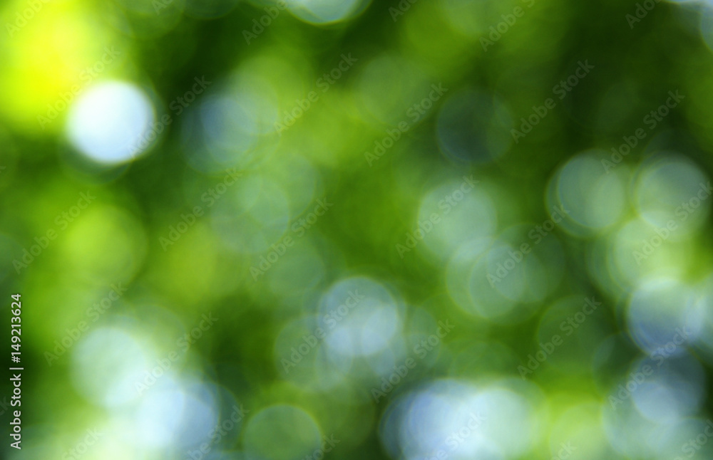 Green blurred background Green blurred background