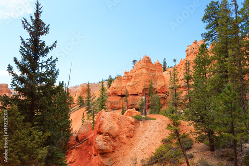 Panorama from Bryce Canyon National Park  USA