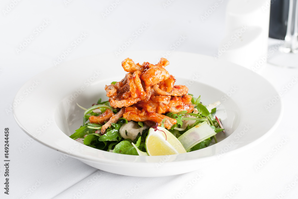 squid squid