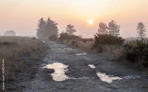 sun rising over heathland track © Donna White