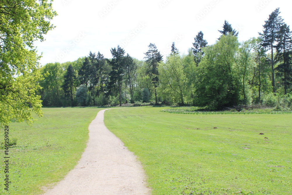 Fototapeta premium Fußweg im Park im Frühling