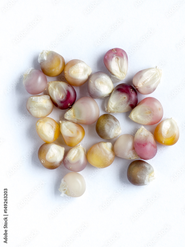 Glass gem corn seed on white isolated background