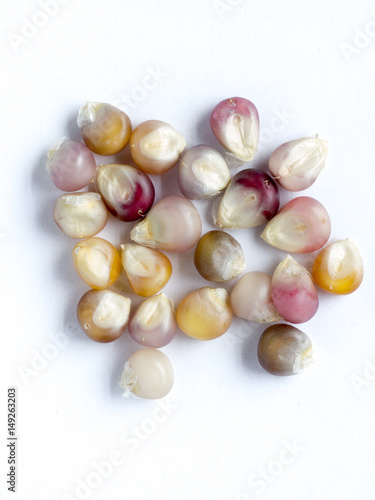 Glass gem corn seed on white isolated background