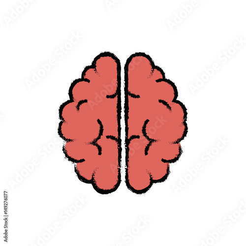 human brain icon over white background. colorful design. vector illustration