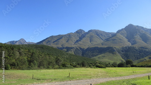 Forest, Trees, Grass and Mountains in South Africa