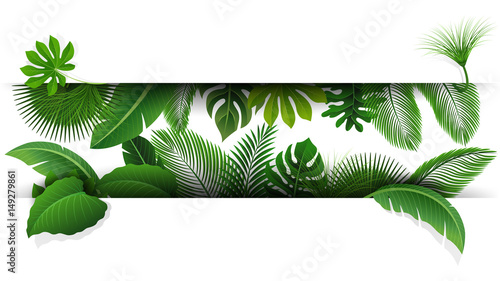 Sign with text space of Tropical Leaves. Suitable for nature concept  vacation  and summer holiday. Vector Illustration