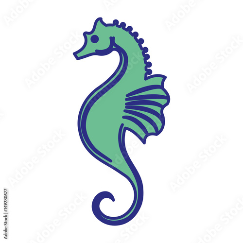 seahorse icon over white background. vector illustration