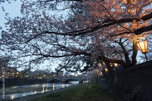 金沢の夜景 浅野川大橋と桜