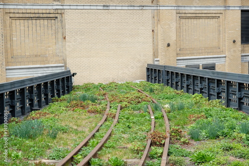 Owergrown rails in New York Highline Park photo