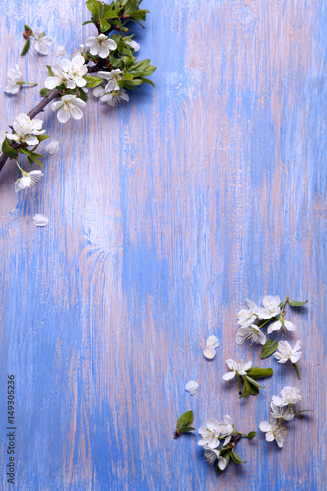 Spring Flowers on the blue background of an old vintage blue board Spring Flowers on the blue background of an old vintage blue board