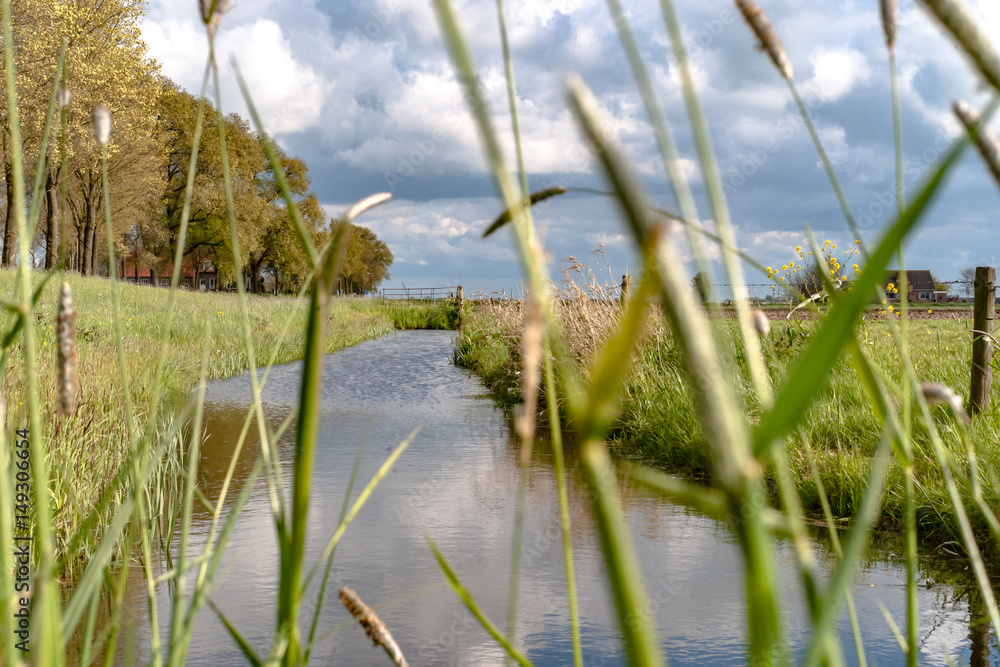 View along the Dutch dike