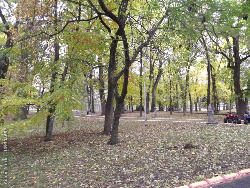 Naklejka premium The nature