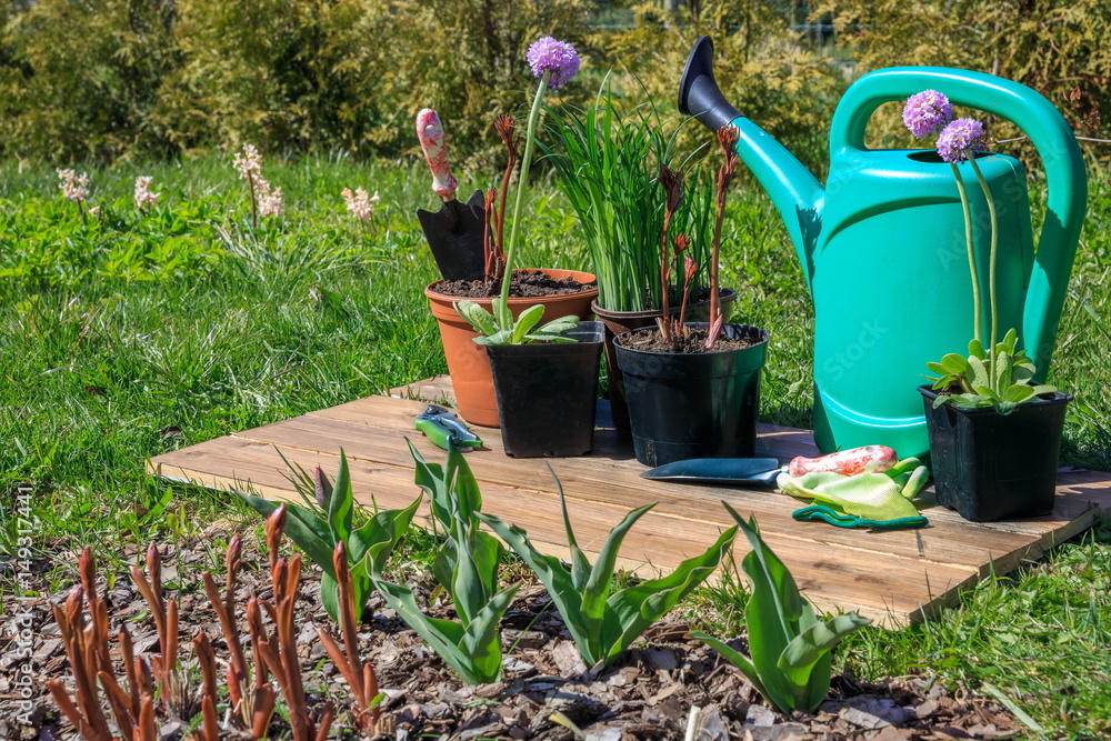 Gardening tools and flowers on wooden background Gardening tools and flowers on wooden background