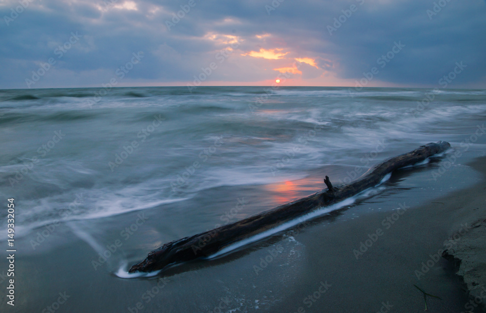 Schwemmholz am Strand von Wellen umspült im Sonnenuntergang