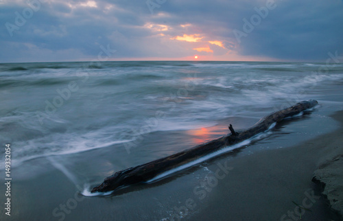 Obraz na płótnie Schwemmholz am Strand von Wellen umspült im Sonnenuntergang w salonie