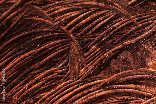 leafs fall rust brown old hard texture 