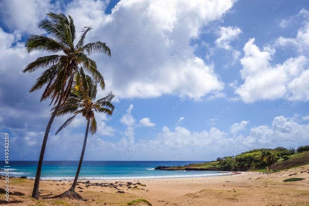 Palm trees on Anakena beach, easter island Palm trees on Anakena beach, easter island