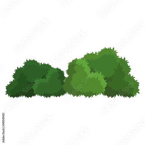 bush green natural foliage image vector illustration