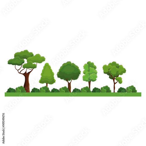 collection trees bush natural forest differents image vector illustration