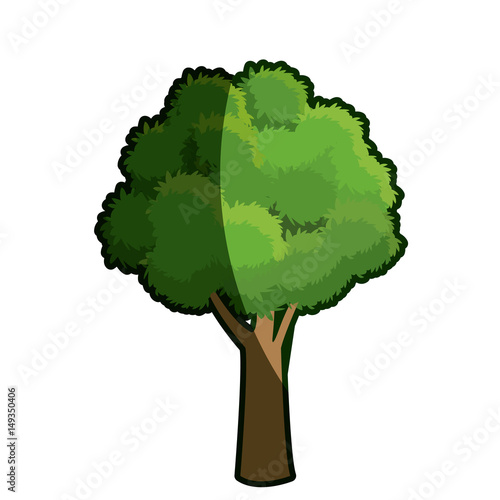 tree oak natural forest foliage shadow vector illustration