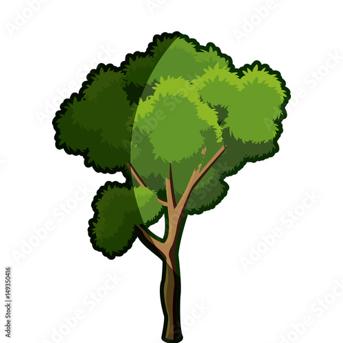 tree foliage branch wood trunk bark shadow vector illustration