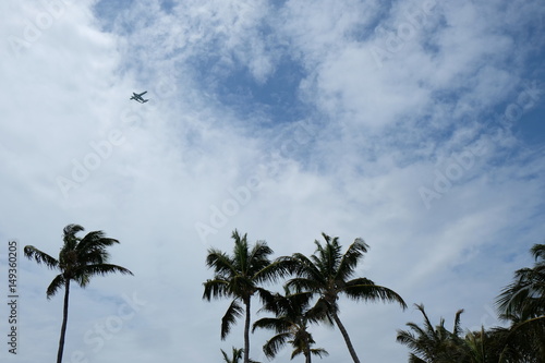 Waterplane flying over the palm trees of Miami Beach