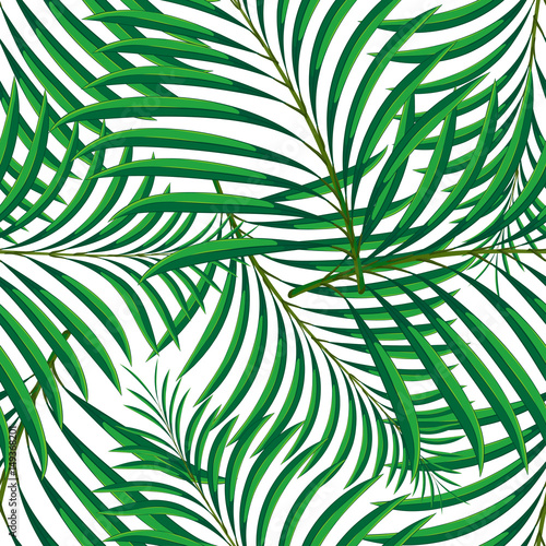 Vector seamless pattern of tropical palm leaves isolated on white background. Vector illustration in hand drawn cartoon style. Can be used for printing on textile or gift wrap and wallpapers.