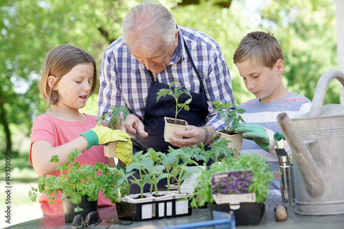 Kids helping grandpa with gardening