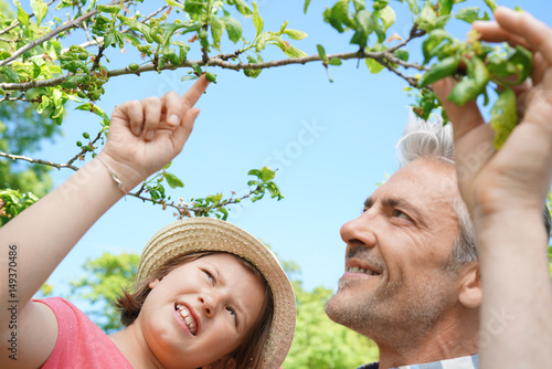 Man with young girl looking at fruit trees buds