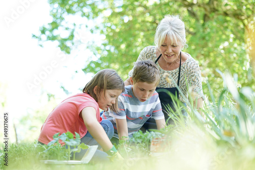 Elderly woman having fun gardening with grandkids
