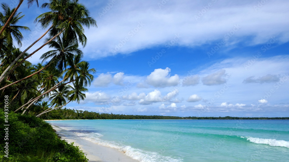 tropischer Traumstrand mit Sand, Palmen und strahlend blauem Meer