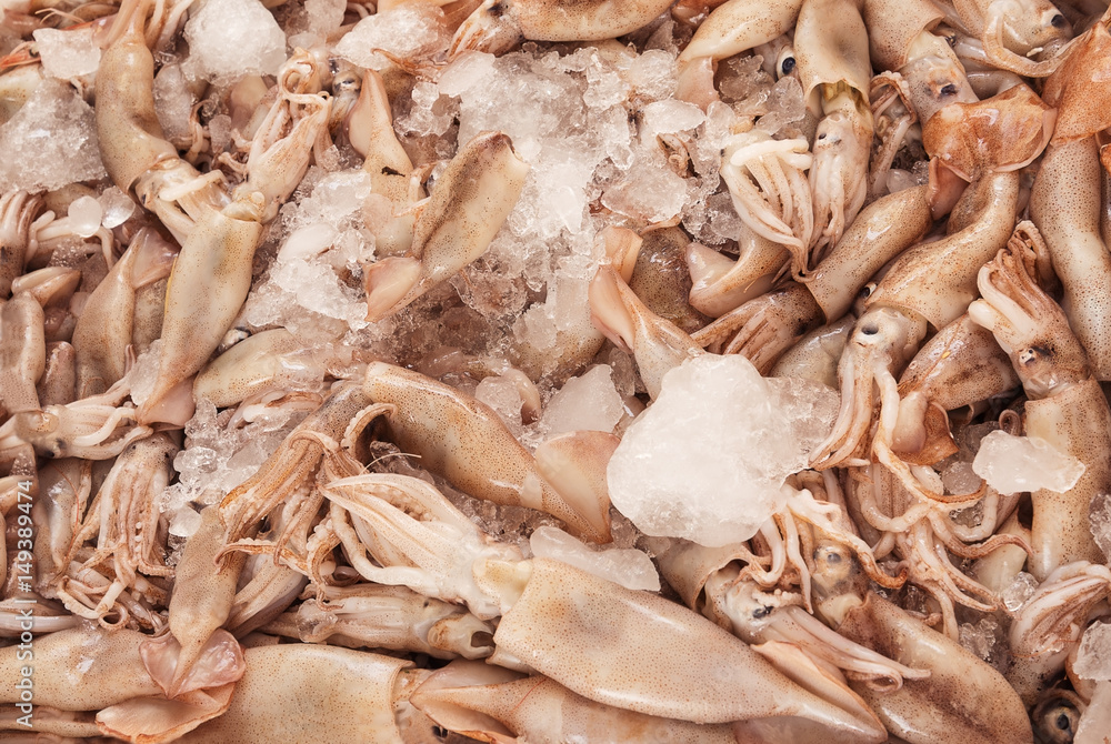 squid in an ice tray